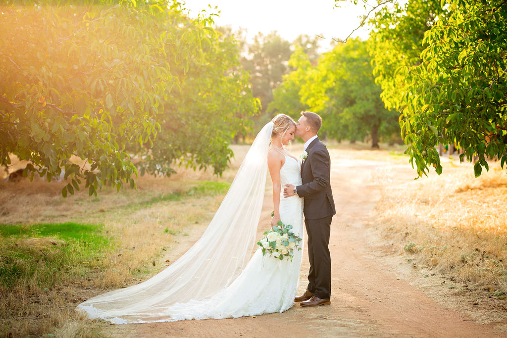 newlyweds kissing in a vineyard Napa CA Wedding Venues 