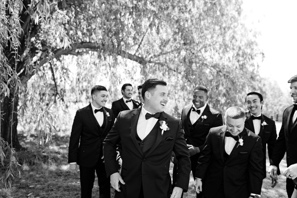 groom and groomsen having fun on their wedding day at the barn at twin ponds with sacramento wedding photographer ashley teasley